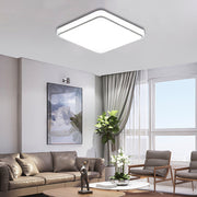 12W Cold White Light Ceiling Lamp