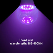UV Round Bulb